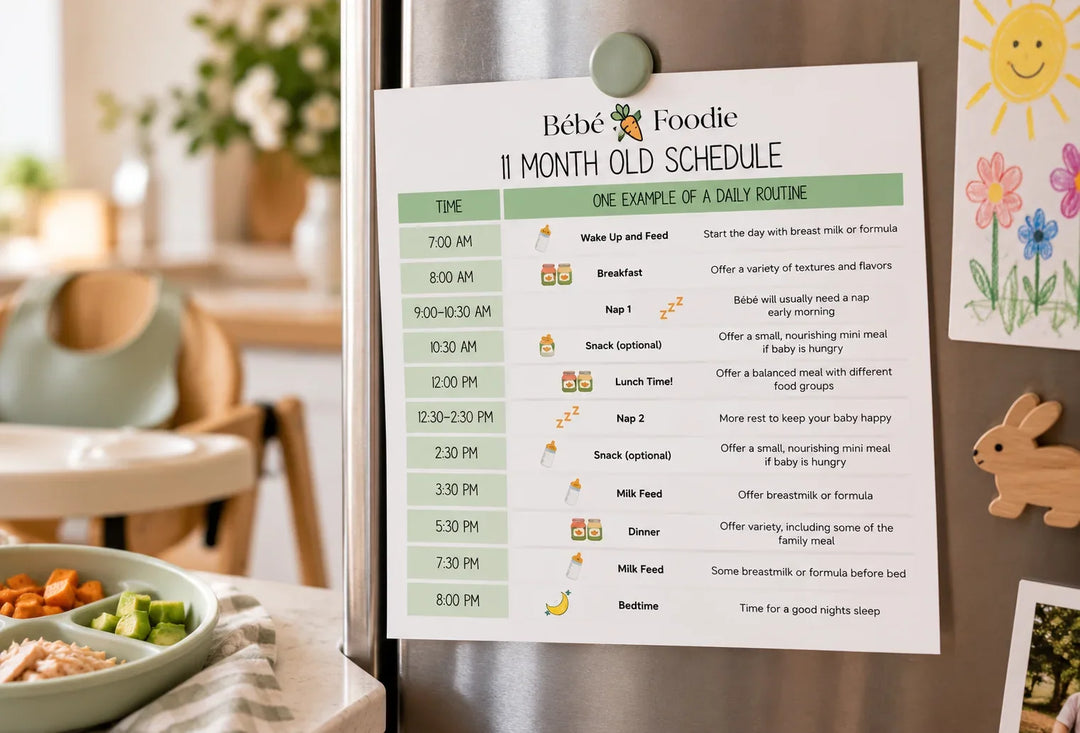11-Month-Old Feeding Schedule: A Realistic Daily Routine With Sample Meals
