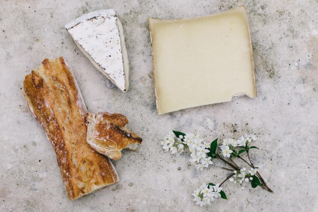 Navigating the Magical world of Cheese for Babies